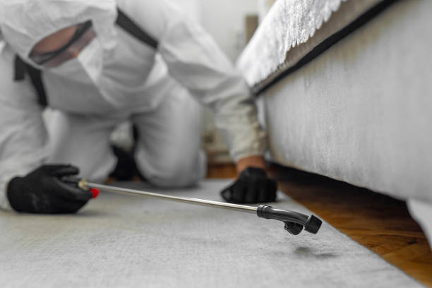 Professional Bed Bug Control technician working in Van Buren County County, TN
